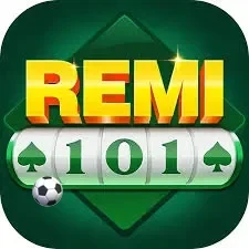 Logo remi101